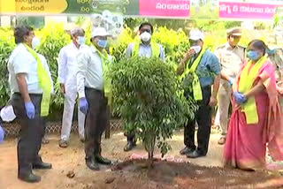 Trasnport minister puvvada ajay plants the plant in khairathabad