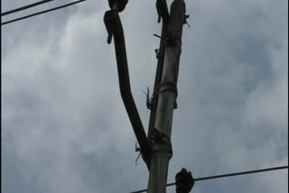 a dangerous electricity bamboo post in baihata chariali