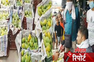 traders not happy with business of mango in delhi