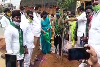 harithaharam osd priyanka vargis Planted the plant in medchal district