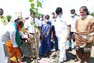 'ప్రతి కుటుంబానికి దోమలను అరికట్టే మొక్కలు పంపిణీ చేస్తున్నాం'