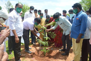 వంగర మంకీ కోర్టులో పండ్ల మొక్కలు నాటే కార్యక్రమం