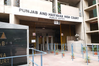 Punjab and Haryana High Court seeks status report from DGP on web series 'Patal Lok' case