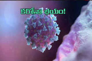 Corona Positive Cases Found In Chikkadapally acp Zone