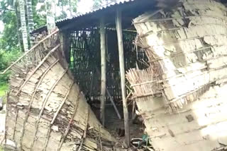 wild elephant destroy houses at Chirang