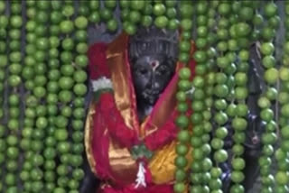 saakambariu utsavaalu started in indrakeeladri durga temple in vijayawada