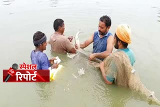 fisheries in Jyotisar of Kurukshetra