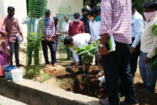 assistant collector tejas nandanlal pawar visited to bikkanuru village in kamareddy