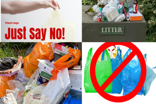 Ministry of Environment, Forest, Climate and Environment Change (MoEF&CC), International Plastic Bag Free Day