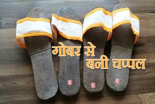 Footwear made from cow dung