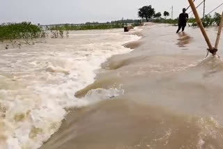 ASSAM FLOOD OVERALL