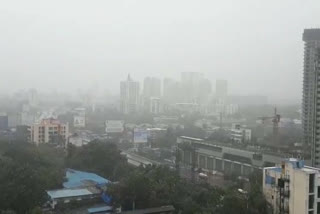 Thane Rain