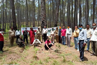 forest festival held in Someshwar