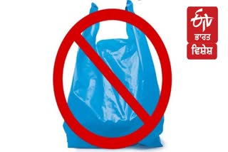 International plastic bag free day