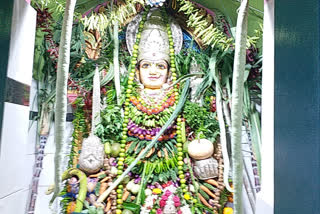 undarajavaram muthyalamma given blessings to people in sakhambari avathar