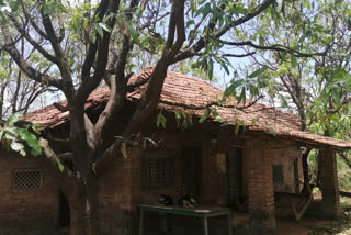 Damaged Home