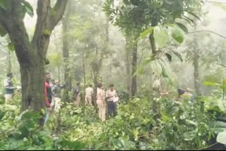 Forest department cut down coffee plants in the name of eviction in Chikkamagalur