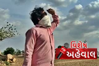 farmers worried for rain