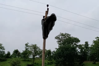 Villagers commit suicide by hanging from electric pole due to unknown reasons in chhidwara