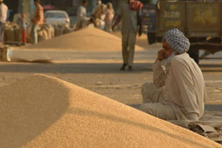 Depleting confidence of farmers!  ആത്മവിശ്വാസം നഷ്ടപ്പെടുന്ന കര്‍ഷകര്‍