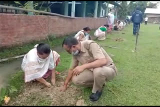 cisf  numaligrah  celebrations forest mahutsav  50 thusands tree plantataion plan all over northeast