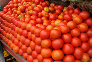 Tomato prices skyrocket to Rs 80/kg in Delhi-NCR