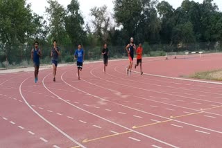 Sriganganagar Athletes News,  Synthetic track ready in Sriganganagar