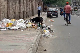 garbage dump in jaitpur badarpur road in delhi