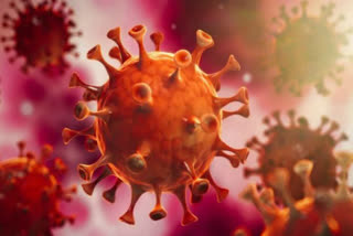 corona virus testing rate in gurugram is highest in NCR