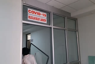 Covid-19 in Pali, पाली न्यूज़