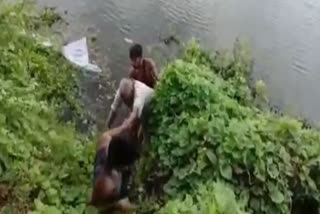 Man stays all night clinging to a tree in Andhra's Nellore