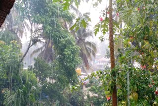 Haevy rain in Mangalore