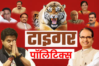 Political tiger in MP