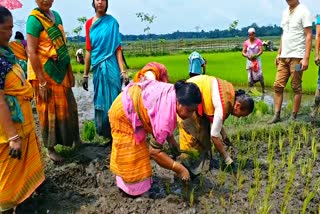 কোকৰাঝাৰত ভূঁই ৰুলে মন্ত্ৰী প্ৰমিলা ৰাণী ব্ৰহ্মই