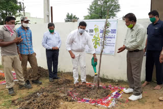 Mega plantation programme in Jayashankar bhupalapally district