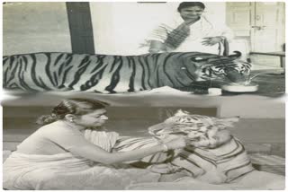 Niharnalini is wailing :-She bemoans for her "daughter" a tigress named Khairi