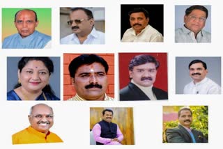 maharashtra BJP working committee
