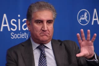 Pakistan foreign minister Shah Mahmood Qureshi