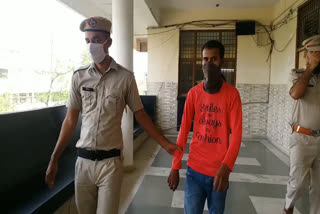 absconding accused arrested in a rape case in-panchkula