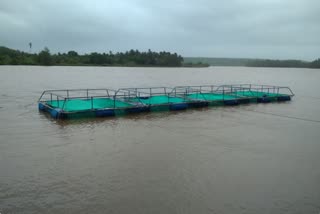 fish farming in sindhudurg