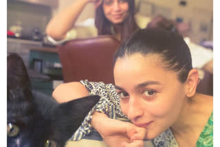 alia bhatt welcome new pet cat to her fans