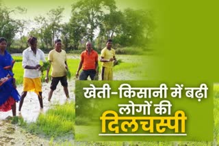 In era of Corona crisis interest of people has increased towards the farming in raipur