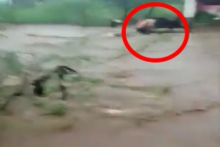 motorbike rider gets caught in a flash flood