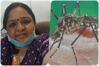 Anand Vihar Ward of Delhi Municipal Corporation take action against malaria