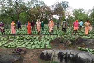 profit-of-389-crore-to-tendupatta-collectors-in-chhattisgarh