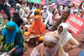 pti teachers protest in kaithal