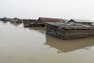 Assam latest flood report : Death toll rises to 37