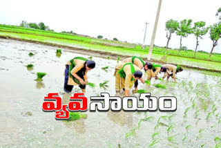 students-are-participating-in-agriculture-works-due-to-schools-closed-in-lock-down-time-in-telangana