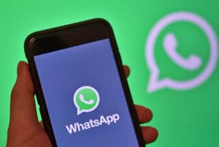 first-brand-campaign-by-whatsapp-to-communicate-with-family-and-friends