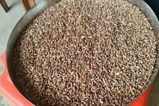 Healthy Black Wheat